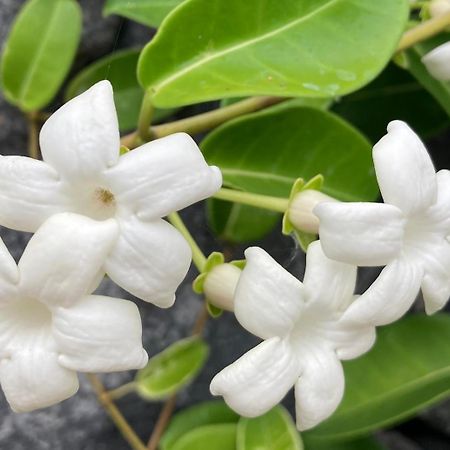 فيلا Casa Julietta إرميغوا المظهر الخارجي الصورة